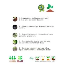 Papel Semente Retângular Personalizado Barato